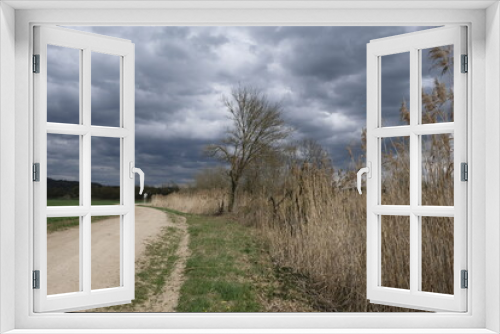 Fototapeta Naklejka Na Ścianę Okno 3D - Sander Baggerseen im Naturschutzgebiet Mainaue bei Augsfeld, Landkreis Hassberge, Unterfranken, Franken, Bayern, Deutschland.