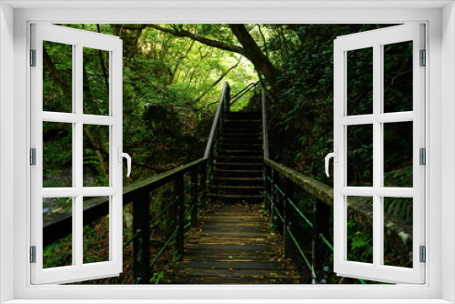Fototapeta Naklejka Na Ścianę Okno 3D - Stone stairway at Yambaru National Park in Okinawa, Japan - 日本 沖縄 やんばる国立公園 石段