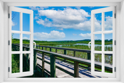 Fototapeta Naklejka Na Ścianę Okno 3D - Interstate in Mobile and Alabama swamp landscape in summer