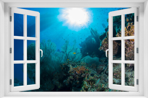 Fototapeta Naklejka Na Ścianę Okno 3D - 石垣　サンゴ礁　海　太陽