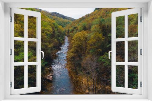 Fototapeta Naklejka Na Ścianę Okno 3D - Drone photo of river in Tennessee 