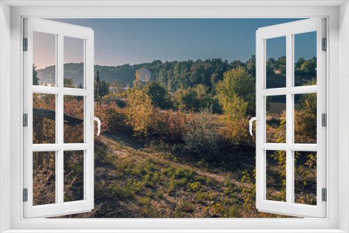 Fototapeta Naklejka Na Ścianę Okno 3D - Summer landscape