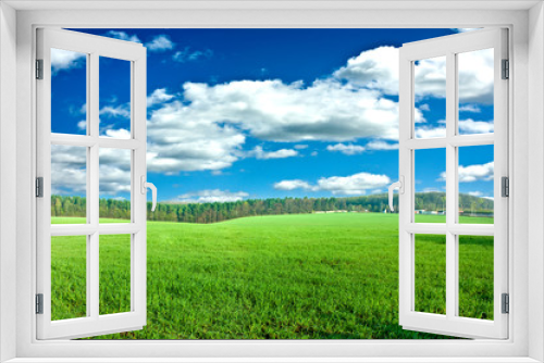 Fototapeta Naklejka Na Ścianę Okno 3D - Green grass under blue sky
