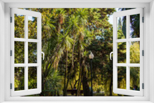 Fototapeta Naklejka Na Ścianę Okno 3D - palm trees and tropical greens