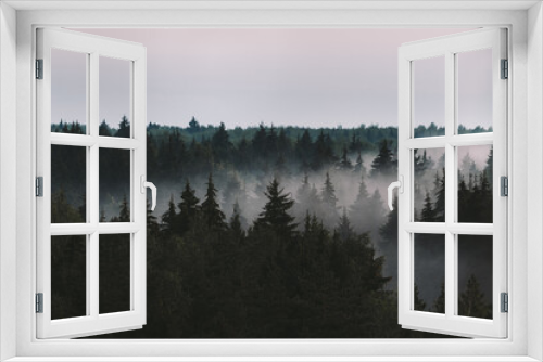 Fototapeta Naklejka Na Ścianę Okno 3D - Nature background with moody dark vintage fir forest in fog high-angle view from above