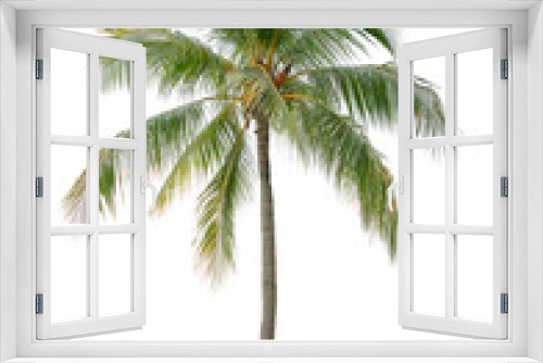 Fototapeta Naklejka Na Ścianę Okno 3D - Beautiful coconut palm tree isolated on white background. Suitable for use in architectural design or Decoration work.