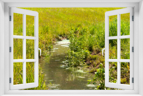Fototapeta Naklejka Na Ścianę Okno 3D - Small stream in a summer meadow