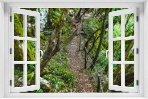 Fototapeta Naklejka Na Ścianę Okno 3D - hiking trail