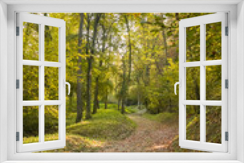 Fototapeta Naklejka Na Ścianę Okno 3D - path in autumn forest