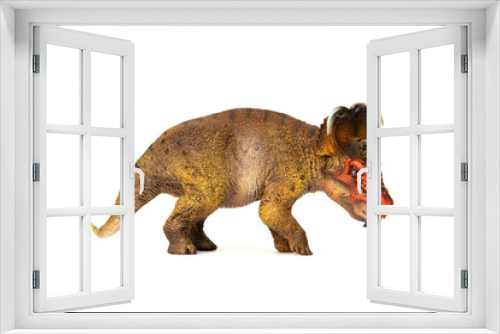 Fototapeta Naklejka Na Ścianę Okno 3D - Pachyrhinosaurus herbivores dinosaur living in Late Cretaceous. isolated on white background.