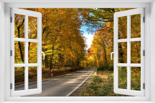Fototapeta Naklejka Na Ścianę Okno 3D - Straße im Herbst