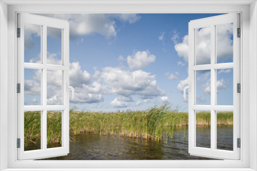 Fototapeta Naklejka Na Ścianę Okno 3D - Engure lake, reeds in it and clouds, Latvia.