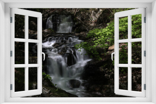 Fototapeta Naklejka Na Ścianę Okno 3D - 新緑の滝川渓谷の滝