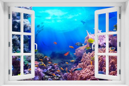 Fototapeta Naklejka Na Ścianę Okno 3D - Life in a coral reef. Rich colors of tropical fish. Animals of the underwater sea world. Ecosystem. 