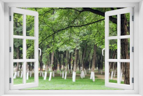 Fototapeta Naklejka Na Ścianę Okno 3D - The photo of A view in the park