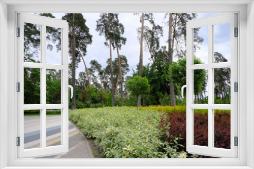 Fototapeta Naklejka Na Ścianę Okno 3D - Beautiful summer park with trees and old pines.  A big bright flower bed. Modern tile. A place for family outdoor activities and relaxation. Recreation zone. Empty space for your text or design. 