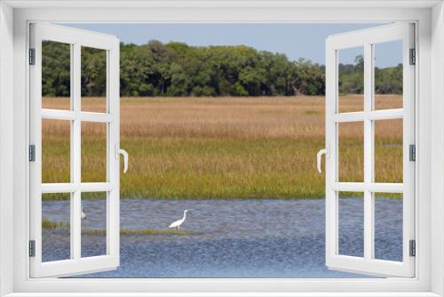 Fototapeta Naklejka Na Ścianę Okno 3D - Saw-grass marsh with egrets in open water