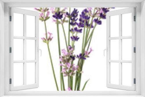 Fototapeta Naklejka Na Ścianę Okno 3D - Lavender flowers bunch