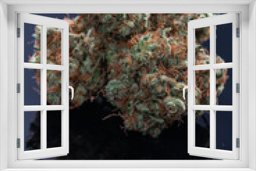 Fototapeta Naklejka Na Ścianę Okno 3D - Cannabis Flower Macro - Strain: Clementine 6