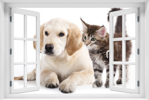 Fototapeta Naklejka Na Ścianę Okno 3D - Cat and dog