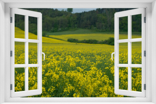 Fototapeta Naklejka Na Ścianę Okno 3D - Landschaft im Sommer