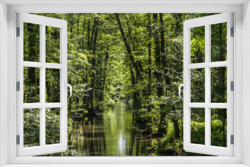 Fototapeta Naklejka Na Ścianę Okno 3D - Water canal in the biosphere reserve Spree forest (Spreewald) in the state of Brandenburg, Germany, in springtime..
