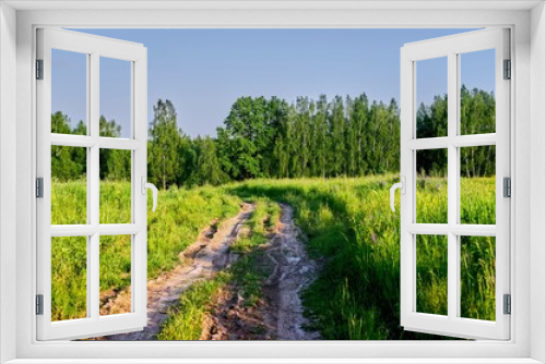 Fototapeta Naklejka Na Ścianę Okno 3D - dirt road through a field