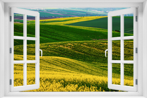 Fototapeta Naklejka Na Ścianę Okno 3D - Rapeseed yellow green field in spring
