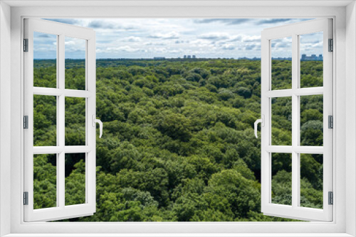 Green forest in summer. Aerial drone view.