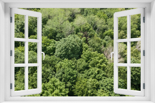 Fototapeta Naklejka Na Ścianę Okno 3D - Green forest in summer. Aerial drone view.