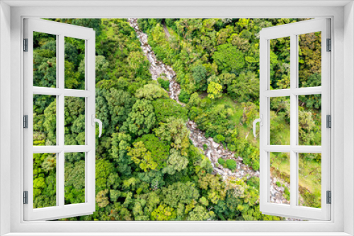 Fototapeta Naklejka Na Ścianę Okno 3D - Aerial top view forest tree. Amazon jungle from above.
