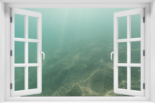 Fototapeta Naklejka Na Ścianę Okno 3D - Unterwasseraufnahmen
