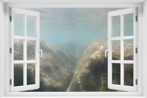 Fototapeta Naklejka Na Ścianę Okno 3D - Unterwasseraufnahmen