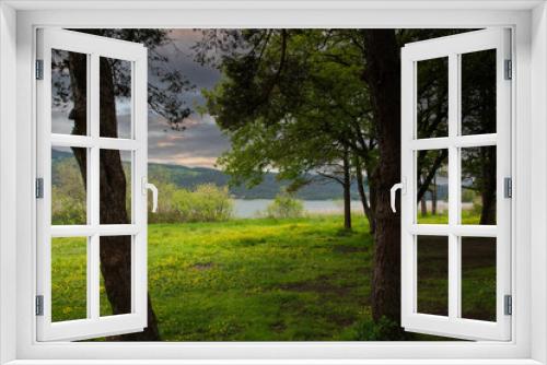 Fototapeta Naklejka Na Ścianę Okno 3D - Wild flowers and lake view from the shade of pine trees in Bolu, Abant national park