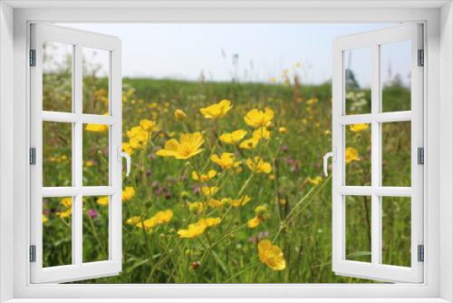 Fototapeta Naklejka Na Ścianę Okno 3D - Summer flower meadow - floral background banner