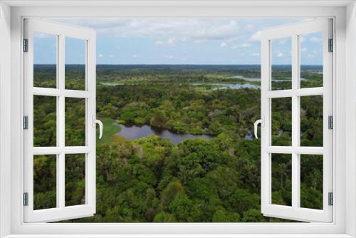 Fototapeta Naklejka Na Ścianę Okno 3D - Aerial view of Amazon rainforest, near the city of Manaus, Amazonas state, Brazil.