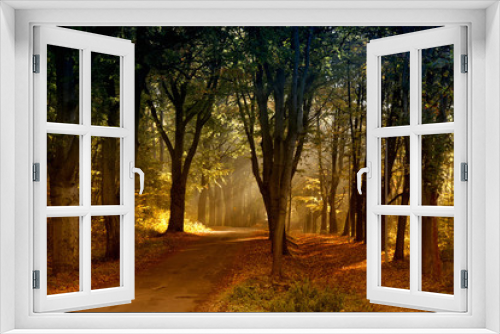 Fototapeta Naklejka Na Ścianę Okno 3D - Herbstfarben