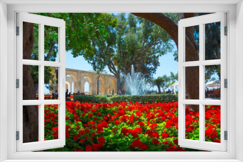 Fototapeta Naklejka Na Ścianę Okno 3D - Valletta, Malta. Blooming geranium in Barraka Gardens, Malta. Geranium blooms close-up. Blooming geraniums in pots. A lot of blooming geraniums.