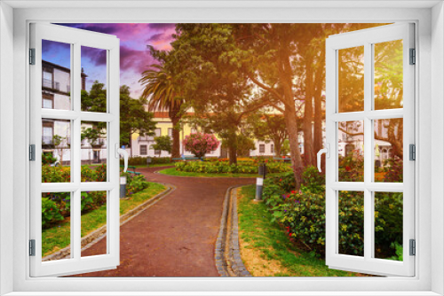Fototapeta Naklejka Na Ścianę Okno 3D - Beautiful Jardim Sena Freita, located in the historic center of Ponta Delgada city on Sao Miguel island. Azores, Sao Miguel, Portugal.