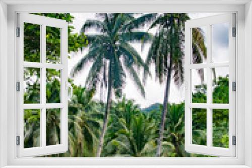 Fototapeta Naklejka Na Ścianę Okno 3D - palm trees