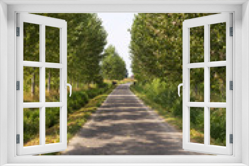 Fototapeta Naklejka Na Ścianę Okno 3D - countryside