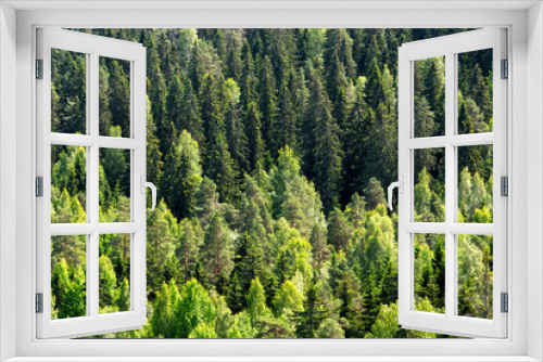 Fototapeta Naklejka Na Ścianę Okno 3D - Thick Finnish forest from air background with spruce, pine and birch trees