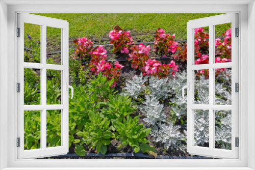 Fototapeta Naklejka Na Ścianę Okno 3D - Automated Watering Flowers
