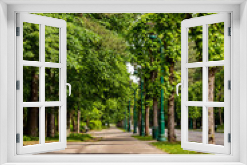 Fototapeta Naklejka Na Ścianę Okno 3D - Alley in the Forest Park (Mežaparks) at summer. Vertical photo of path in the park lined with high green trees, green lampposts, benches and lawn.