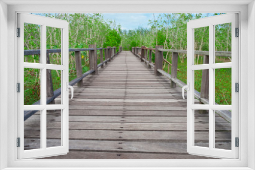 Fototapeta Naklejka Na Ścianę Okno 3D - Mangroves