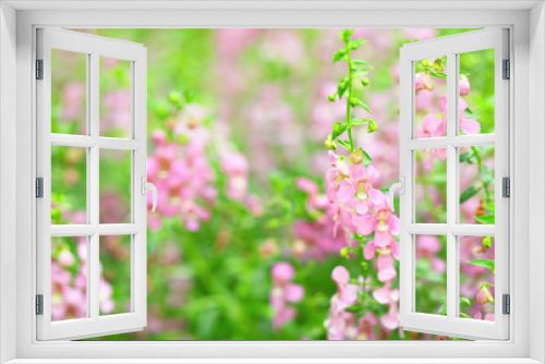Fototapeta Naklejka Na Ścianę Okno 3D - pink flower
