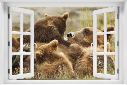 Fototapeta Naklejka Na Ścianę Okno 3D - three bear cubs
