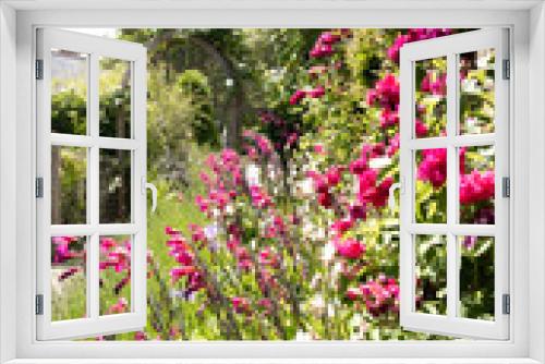 Fototapeta Naklejka Na Ścianę Okno 3D - Pretty pink flowers and geraniums growing in an English country garden. Captured on a bright and sunny day