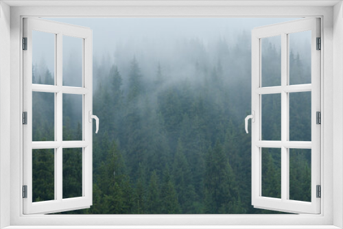 Fototapeta Naklejka Na Ścianę Okno 3D - It's a nasty day. Fog in the fir forest