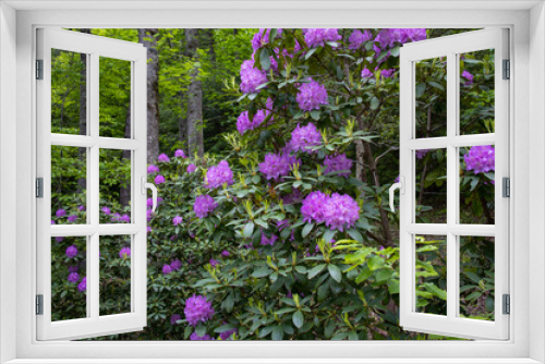 Fototapeta Naklejka Na Ścianę Okno 3D - Bloom